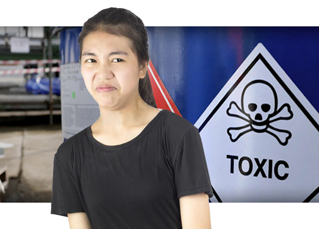 They are Not Our Toxic Cartridges in the Netherlands