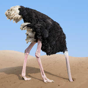 Ostriches Pull Your Head Out rtmworld