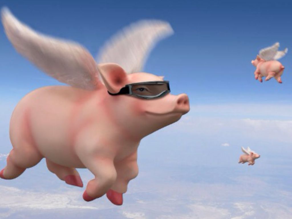 pigs-can-fly-can-you-really-believe-everything-you-read-rtm-world