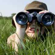 observe
