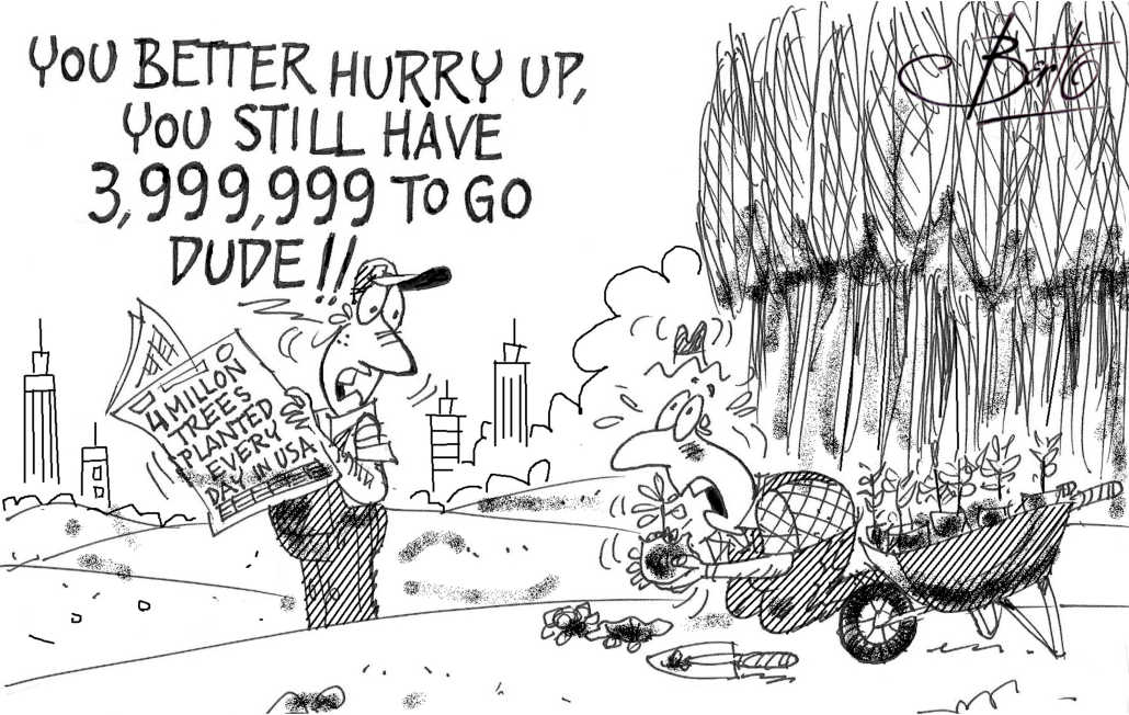 More Trees Planted than Harvested Berto rtmworld cartoon