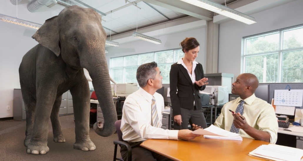 What Independent Resellers of Printer Supplies Expect elephant in the office