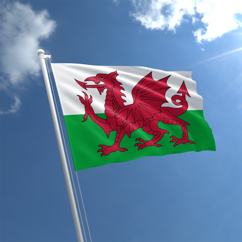 Konica Minolta Welsh language support