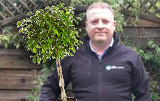 planting trees is an office solution rtmworld Darren Turner