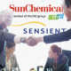 Sensient Technologies Sells its Ink Business rtmworld
