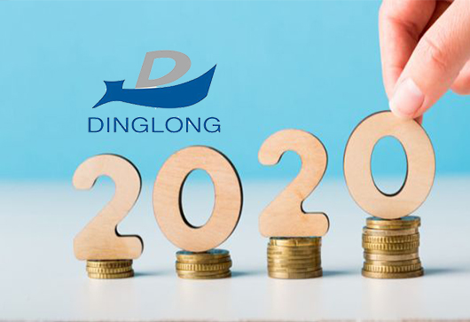 China's Dinglong Reports Growth in 2020 rtmworld