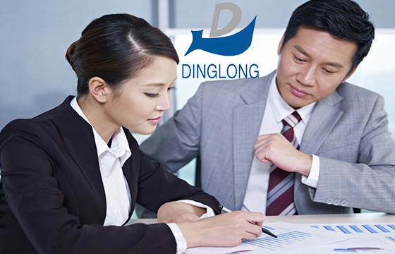 Dinglong Releases Fiscal Results for 2020