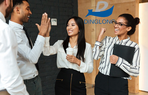Dinglong Reports Strong Revenue Growth in First Half