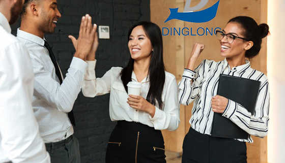 Dinglong Reports Strong Revenue Growth in First Half