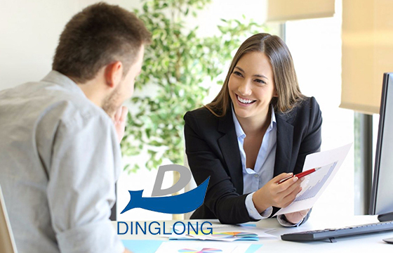 Dinglong Reports