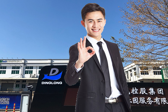 Dinglong’s Fast and Continued Growth Wows
