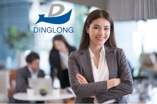 Dinglong Forecasts Growth for 2022