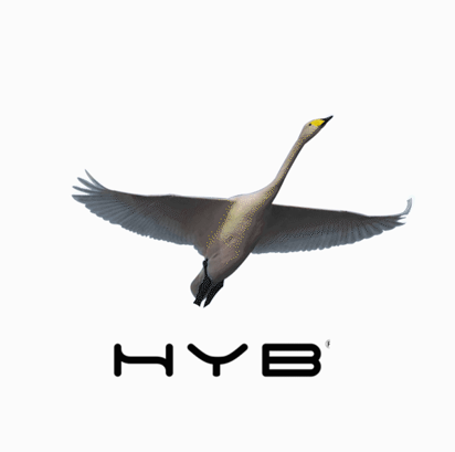 HYB - The HongHu that Dares to Soar