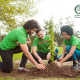 Xerox to Support Reforestation Efforts