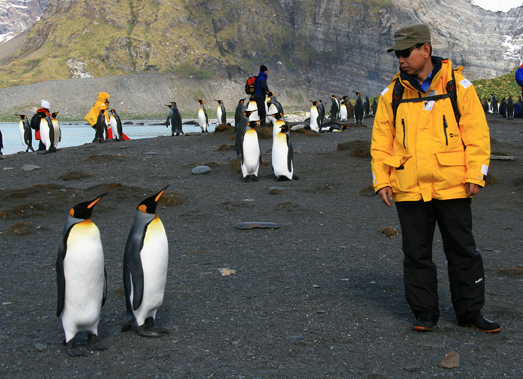 G&G Calls for Action Over Endangered Emperor Penguins